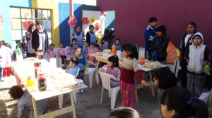 proyecto-en-villa-31-s
